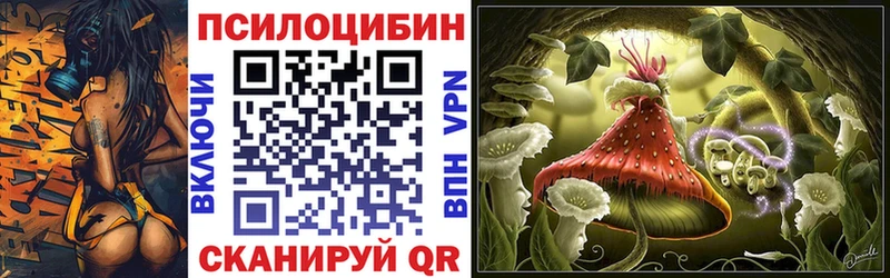 Галлюциногенные грибы GOLDEN TEACHER  KRAKEN как войти  Камень-на-Оби 