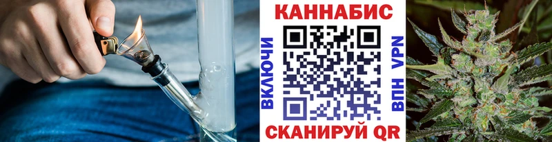 Каннабис индика  Камень-на-Оби 